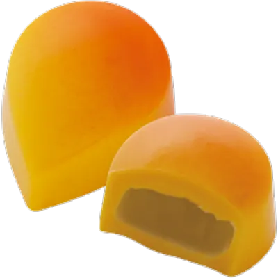 コスモス