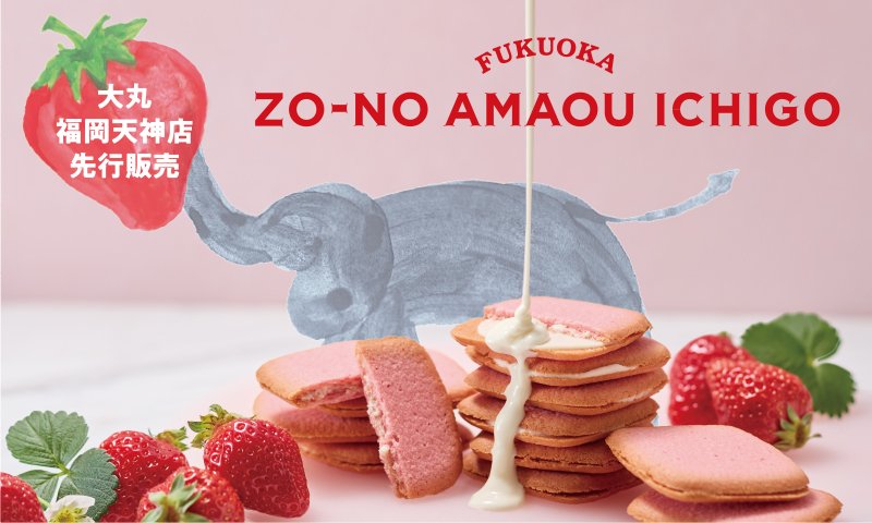 zou-top.jpg