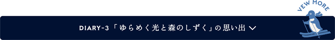 「ゆらめく光と森のしずく」の思い出