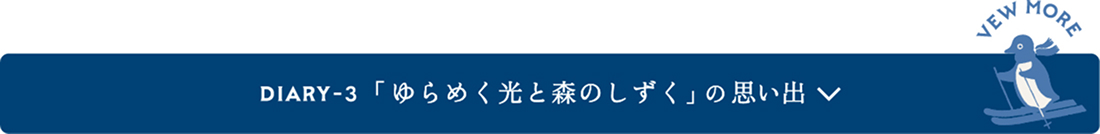 「ゆらめく光と森のしずく」の思い出